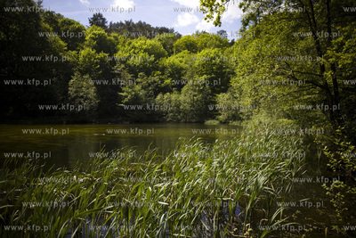 Sopot. Staw Nowowiejskiego, czyli tzw. Morskie Oko.
22.05.2017
fot....