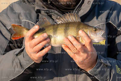 Zima. Łowienie na lodzie przy przystani Żabi Kruk...