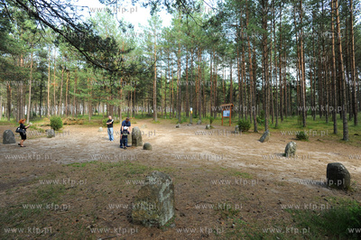Wesiory. Miejsce obrzedowe i cmentarzysko Gotow z I-II...