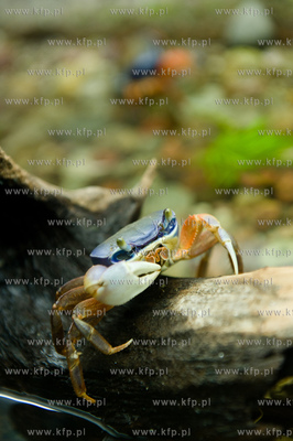 Sopot. Budynek dawnego klubu nocnego Enzym. Nowo otwarte...