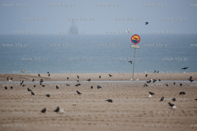Gdynia. Jesienna, deszczowa pogoda na plazy miejskiej...