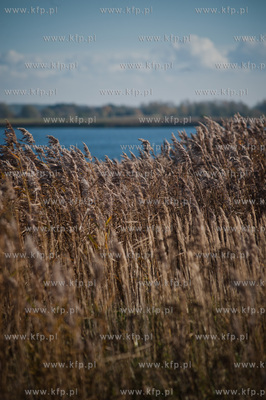 Trzcinsko, przy brzegu Martwej Wisly. Prezentacja testowej...