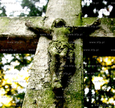 Swieto Zmarlych na szczecinskim cmentarzu centralnym.
Jest...