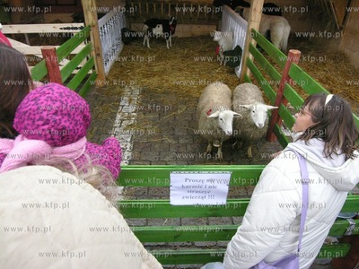 Swieta Bozego Narodzenia juz blisko, przed slupskim...