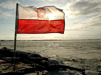 Szczecin. Wspolna akcja polskich ( Dzik, Lis, Swistak...