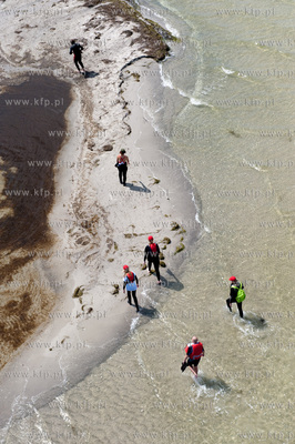 Marsz Sledzia odbywa sie Rybitwia Mielizna (Rewa Mew)...