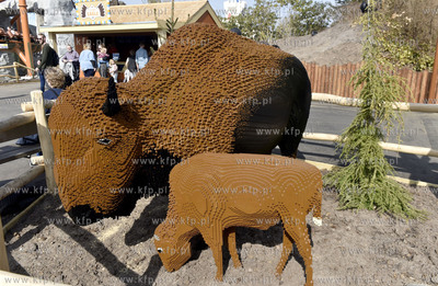 Legoland w Billund, Dania.  Bawoły z klocków lego....