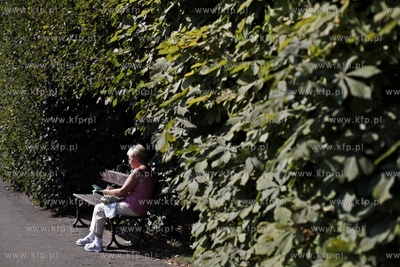 Park Oliwski. 29.08.2013 fot. Krzysztof Mystkowski...
