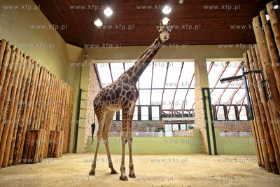 W gdanskim zoo ustanawiany jest rekord Guinnessa. Kazdy...