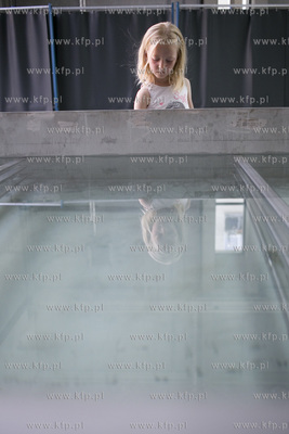 Otwarcie Centrum Konserwacji Wraków Statków w Tczewie.
02.07.2016
fot....