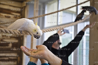 Nowa Papugarnia w Gdańsku Suchaninie.
29.12.2016
fot....