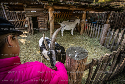 Sopocka Majówka w Grodzisku.
02.05.2022
fot. Krzysztof...