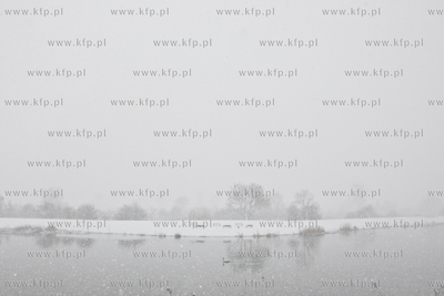 Zima w Gdansku, obfite opady sniegu na teranach spacerowych...