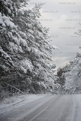 Ggansk. Gorki Zachodnie. Osniezony zimowy krajobraz...