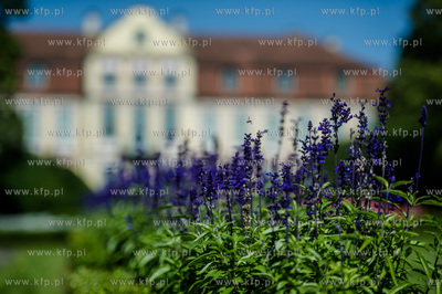 Gdańsk. Park Oliwski. Konferencja prasowa przedastawiająca...