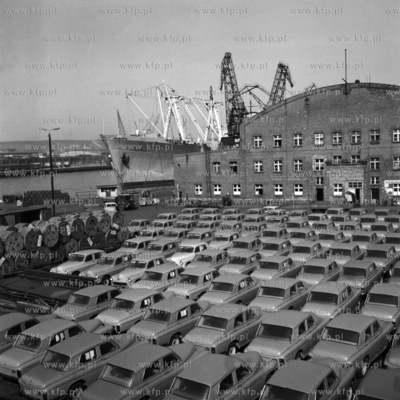 Samochody przeznaczone na eksport czekają na załadunek...