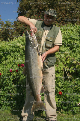 Wlodzimierz Flis z Kolobrzegu zlapal troc o wadze 14,7...