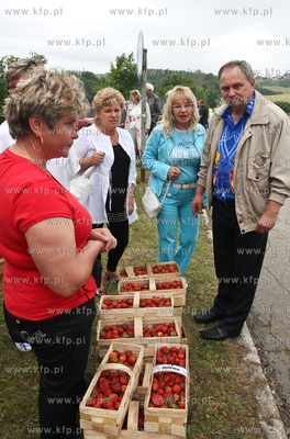 Zlota Gora k. Kartuz. Truskawkobranie to najwieksza...