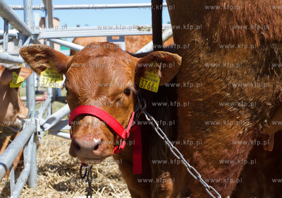 XX Pomorskie Targi Rolno Przemyslowe Pomorska Wojewodzka...