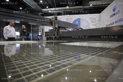 W Centrum Wystawienniczym Miedzynarodowych Targow Gdanskich...