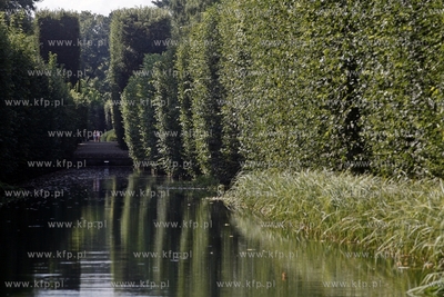 Park Oliwski. 29.08.2013 fot. Krzysztof Mystkowski...