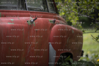 Żuławy. Wrak samochodu Wartburg we wsi Cyganek.
08.05.2019
fot....