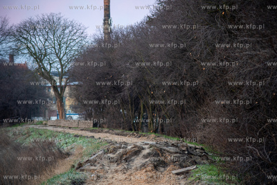 Rewitalizacja Opływu Motławy. 03.02.2023 fot. Paweł...