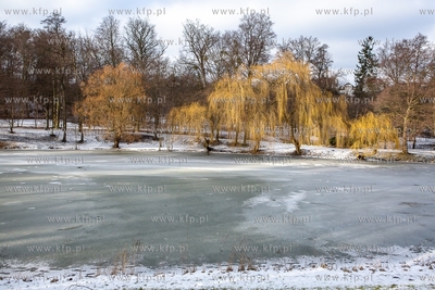 Zima w Parku Oruńskim. 04.02.2019 / Fot. Anna Rezulak...
