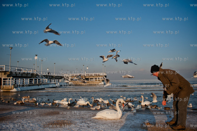 Gdansk. Mrozne popoludnie na plazy w Brzeznie. Niskie...