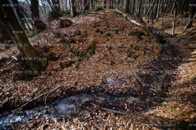 Gdansk. Oliwa, Trojmiejski Park Krajobrazowy. Sciezka...