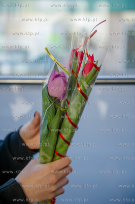 Gdansk. Dzien kobiet w zabytkowym tramwaju 105 N z...