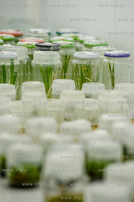 Gdansk. Otwarcie Instytutu Biotechnologii Uniwersytetu...