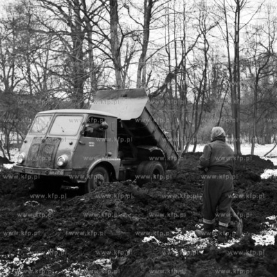 Prace ziemne w parku oliwskim w Gdańsku Oliwie. 
02.1971
0003033z_luty1971
Fot....