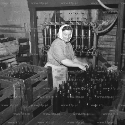 Linia produkcyjna wina. (lata60) 1964 Fot. Zbigniew...