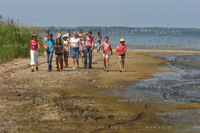 Plaza w Bladzikowie nad Zatoka Pucka. Dzisiatki tysiecy...