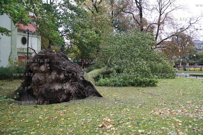 Sopot. Skutki wichury, ktora szalala w nocy w Sopocie....