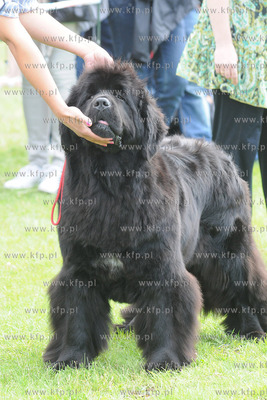 W Zespole Dworsko - Parkowym  w Gdyni Kolibkach odbyla...
