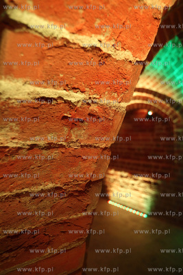 Uroczyste otwarcie Piwnicy Romanskiej z XIIIw., ktora...