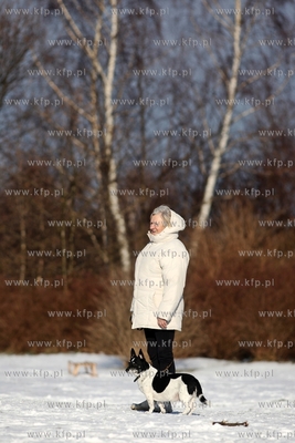 Pies w parku Reagana w Gdansku. 01.02.2015 fot. Krzysztof...