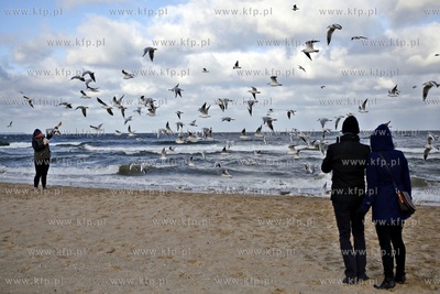 Silne podmuchy wiatru w Gdańsku Brzeźnie.
08.11.2015
fot....