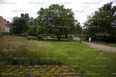 Gdańsk. Park nad Strzyżą.
18.07.2017
fot. Krzysztof...