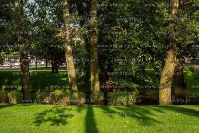 Park na Targu Rakowym po modernizacji. 5.08.2019 /...