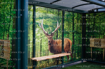 Gdansk. Wiata przystanku autobusowego Dworzec Glowny...