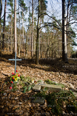 Gdansk. Oliwa, Trojmiejski Park Krajobrazowy. Sciezka...