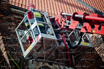 Gdansk. Akcja ratunkowa kaczki krzyzowki oraz jej nowo...