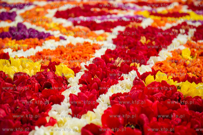 Mokry Dwor. Przygotowania do kolejnej edycji imprezy...