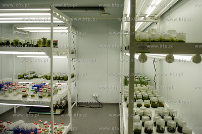 Gdansk. Otwarcie Instytutu Biotechnologii Uniwersytetu...