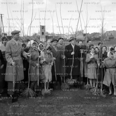 Akcja zalesienia obszarów wiejskich. (lata60). 1960...