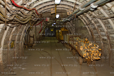 Kopalnia Guido zalozona zostala w 1855 roku przez hrabiego...