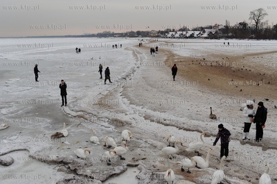 Sopot, molo. Zatoka Gdanska zamarzla ponad 1 km od...